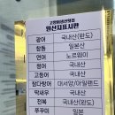 고양이생선횟집