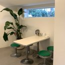 파스토테이블 이미지