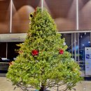 이글몬트cc | 이글몬트CC 겨울라운드 솔직후기｜티스캐너 예약으로 식사+커피 포함 가성비 라운드