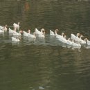 동림농장 이미지