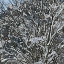 백암기사식당 이미지