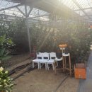 태규농장 이미지