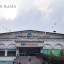 진양호캐리비안 이미지