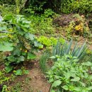 하늘아래별천지민박 이미지