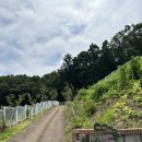 더숲요양병원 이미지