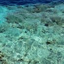 칼라포켓볼클럽 | 신혼여행 3. 몰디브 신혼여행 후기/ 그랜드파크 코디파루 (1)