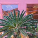 엘지전자(주)김포서비스센터 | 김포공항 주차비용 할인 주차대행 비용 후기