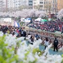 불광천6 이미지