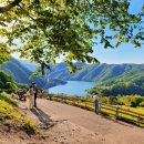 강촌목장 이미지