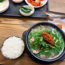 신라국밥 | 🍲[안동 국밥] 그릇 밑바닥까지 고기 가득한 “신라국밥” 현지인 픽 솔직후기