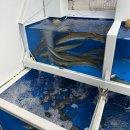 청해펜션 | 기장시장횟집추천 회포장하기좋은 활어직판장 청해수산