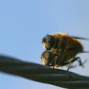 안성농장 이미지