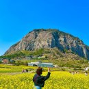 본마을3길 21-1 이미지