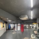 한남 권투 이미지