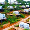 돔하우스민박 이미지