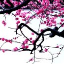 4월 2일 수요일 간추린 뉴스와 날씨 이미지