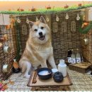 진해유치원 이미지