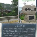 송능1리 이미지