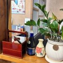 토종흙돼지 이미지