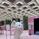다채로운 솜사탕 | [판교현대 팝업] 핑크빛 솜사탕 가득! '몽모월드' 팝업 스토어 솔직 후기