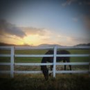 유연목장 이미지