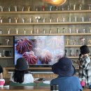 여행자플랫폼 이미지