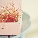 로즈스토리 이미지