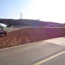 신지면-2 이미지