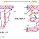 [의사에게 배우는 인체생리학] 타박상 입으면 밥(RICE)을 기억하자! 이미지