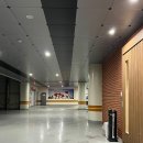 브라운도트2 이미지