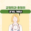 청평연세의원 | 경기도 가평군 교정치과 총정리