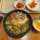 콩나물 노래연습장 이미지