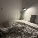 올인원민박 | 파리여행숙소 3구 가성비 한인민박 레몬민박 2호점