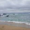 정동진역 이미지