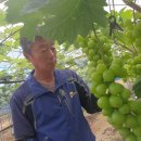 정경식농장 이미지