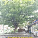 장평2차주공아파트 이미지