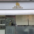 디오레 포메라니안 이미지