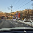 지금부터 힐링캠프 | [홍천] 캠장님이 매우 친절한 수타사 힐링캠프 B존 캠핑 후기