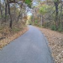 군자봉주유소 이미지