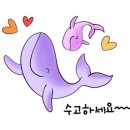 노블캠프아카데미 네이버블로그