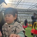 다인농장2 이미지