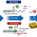 한국재료검사 주식회사 MIT Technology Review 코리아