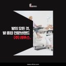레푸스 경산정평점