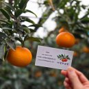 은숙농장 이미지