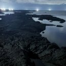 제주애아리 이미지