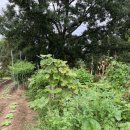 교훈농장 이미지