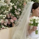 드브릿지 | 광주 더시그너스 결혼식 축의대행 브릿지데이 솔직 후기 축의대 고민하다 업체 맡긴 후기(1만원 할인)
