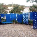 정동농업협동조합 이미지