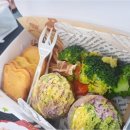 진접애견미용 이미지