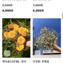 플라워시티 네이버블로그